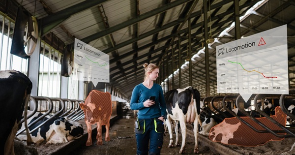 MI-vel turbózott mezőgazdasági megoldás a Nedap kínálatában